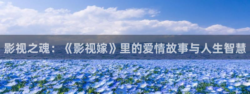 小宝探花无损视频：影视之魂：《影视嫁》里的爱情故事与人生智慧