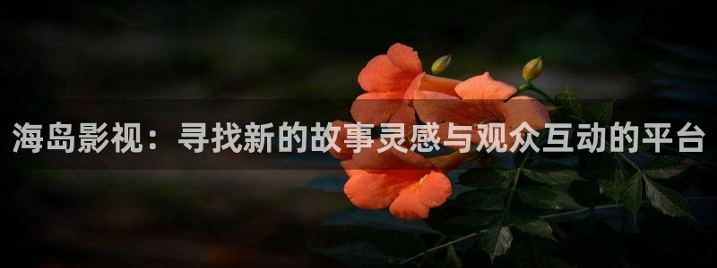 探花国产视频一区