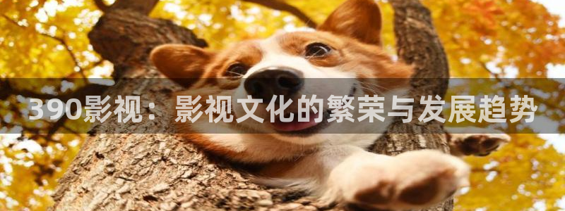 探花小视频在线