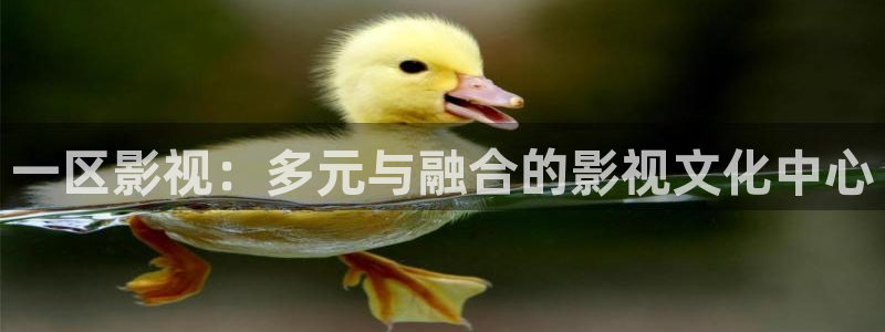 探花视频免费观看网址