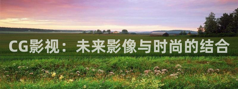 探花网站视频