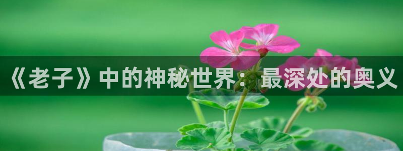 探花视频官网