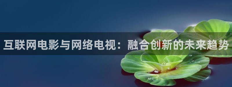 探花视频观看