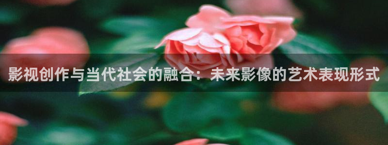 探花网址视频