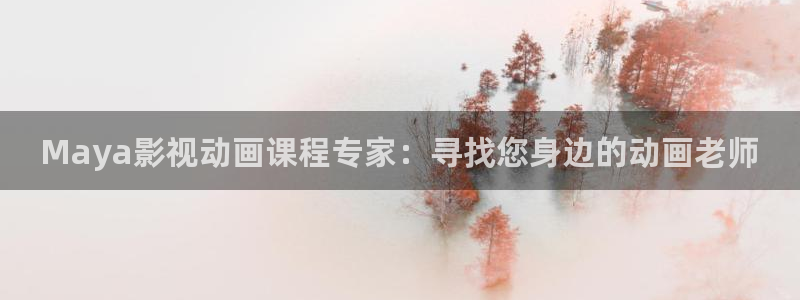 探花视频免费在线
