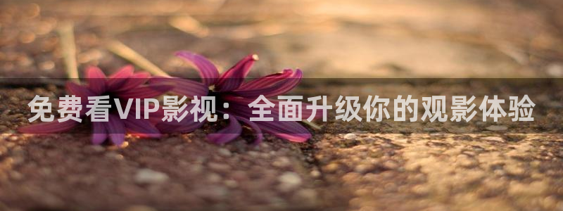 国产视频探花一区：免费看VIP影视：全面升级你的观影体验