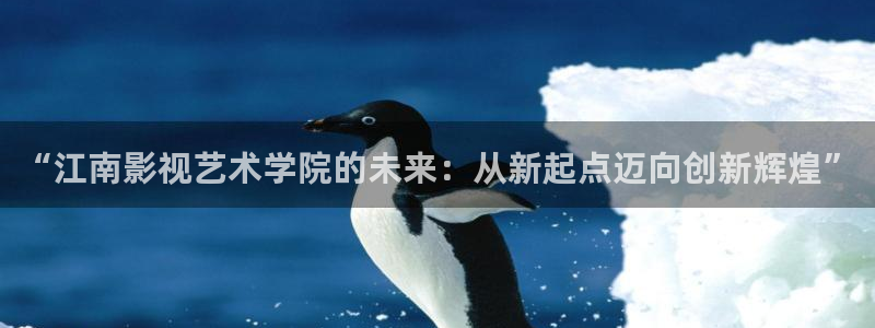 探花视频一区二区：“江南影视艺术学院的未来：从新起点迈向创新辉煌”