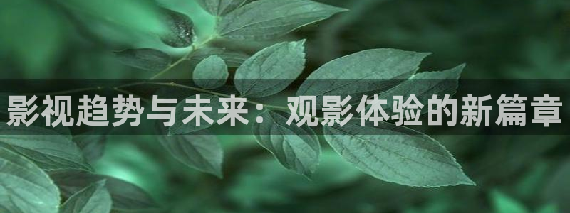 探花视频谁的最好看：影视趋势与未来：观影体验的新篇章